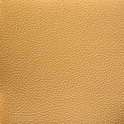  64-778_golden_yellow