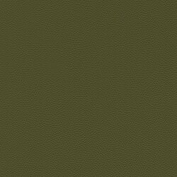 [Translate to English:] cactus 64-781