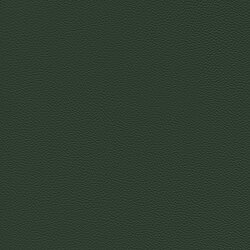[Translate to English:] dark green 64-779