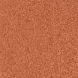 [Translate to English:] orange rust 64-775