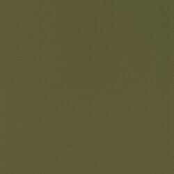 Tovega cactus F6471107